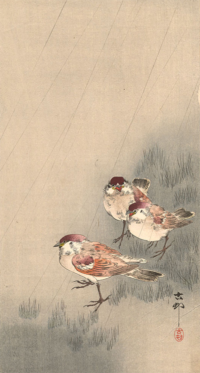 kacho-e, estampe japonaise d’oiseaux