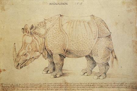 rhinoceros de Dürer