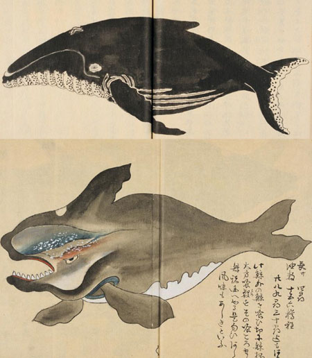 estampe japonaise de baleine