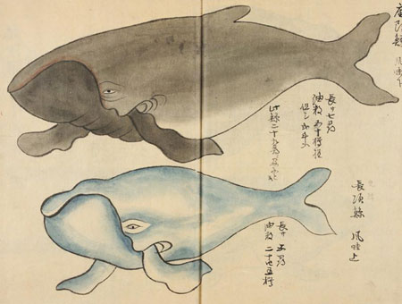 estampe japonaise de baleine