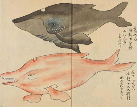estampe japonaise de baleine