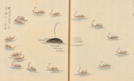 encerclement d’une baleine